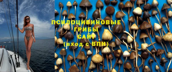 ECSTASY Балахна