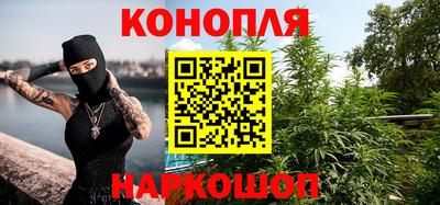 сатива Краснознаменск