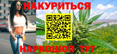 сатива Краснознаменск